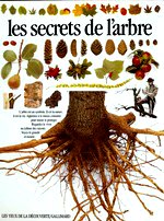 Burnie David - Les Secrets de l`arbre.