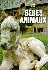 Burton Robert - Les bébés animaux.