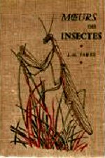 Fabre J.-L. - Murs des insectes.