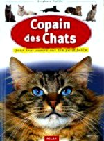 Frattini Stéphane - Copain des chats