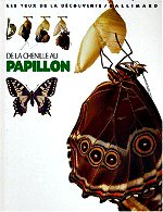 Whalley Paul - De la chenille au papillon.